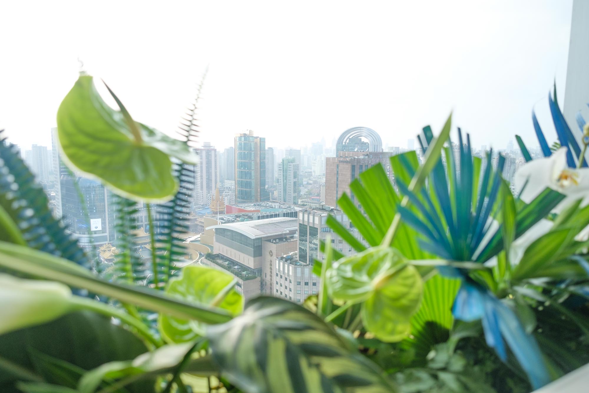 Green blue and white tropical flower arrangement for office of Galliard Homes Shanghai Grand Opening | Daria Bokova Floral Designer dariabokova.com